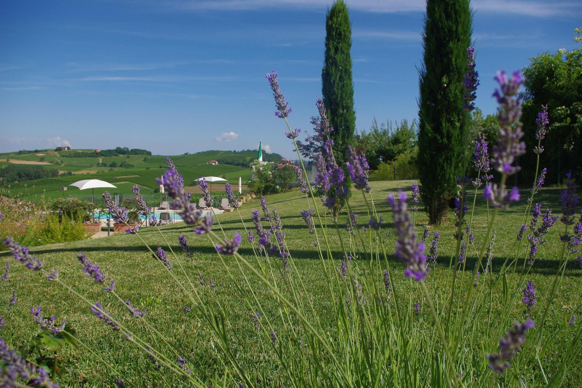 Agriturismo Piemonte Knusse agriturismo in Piemonte tussen de wijngaarden