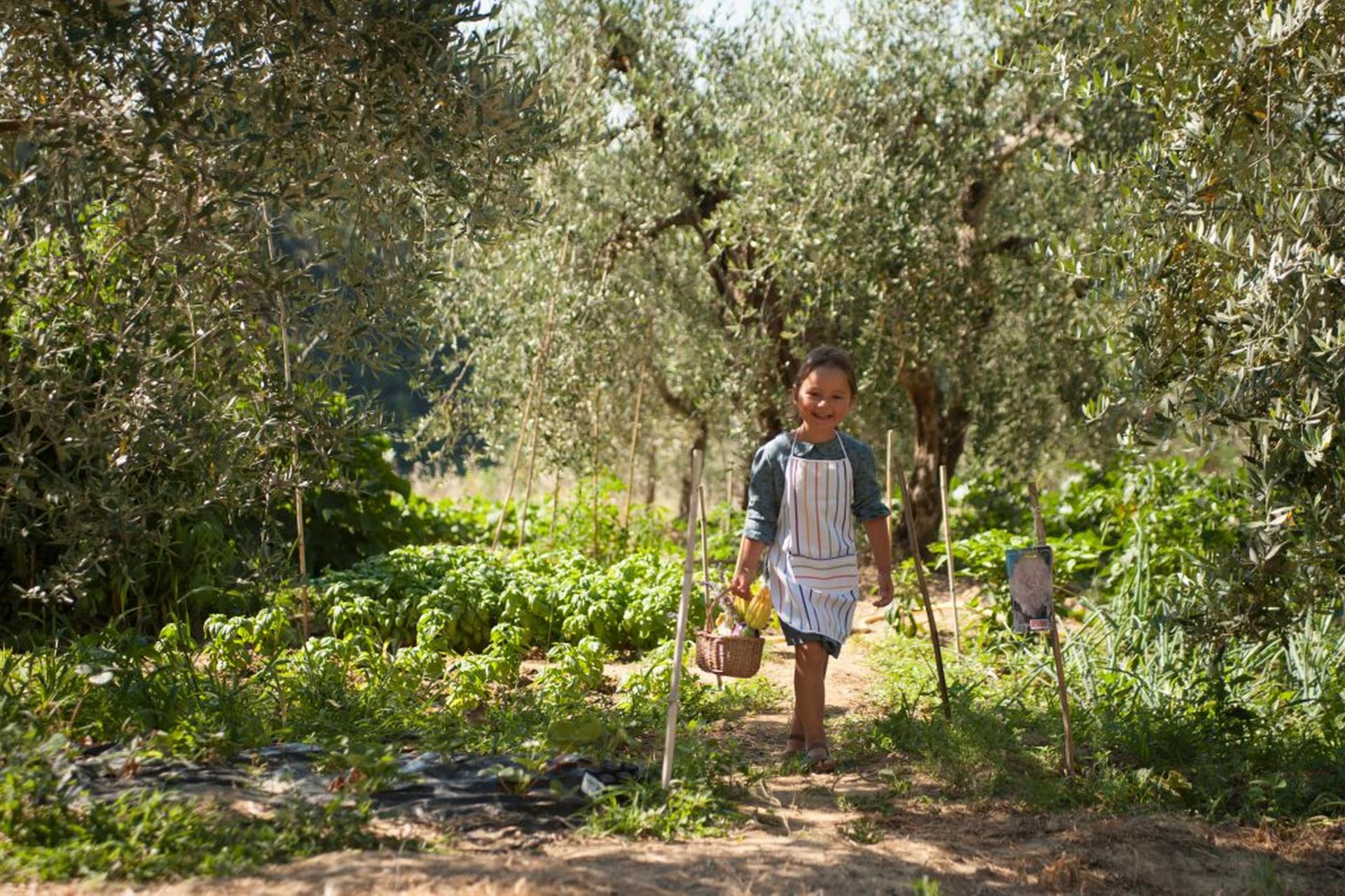Agriturismo Toscane Luxe agriturismo Toscane met kookworkshop Italië | myitaly.nl