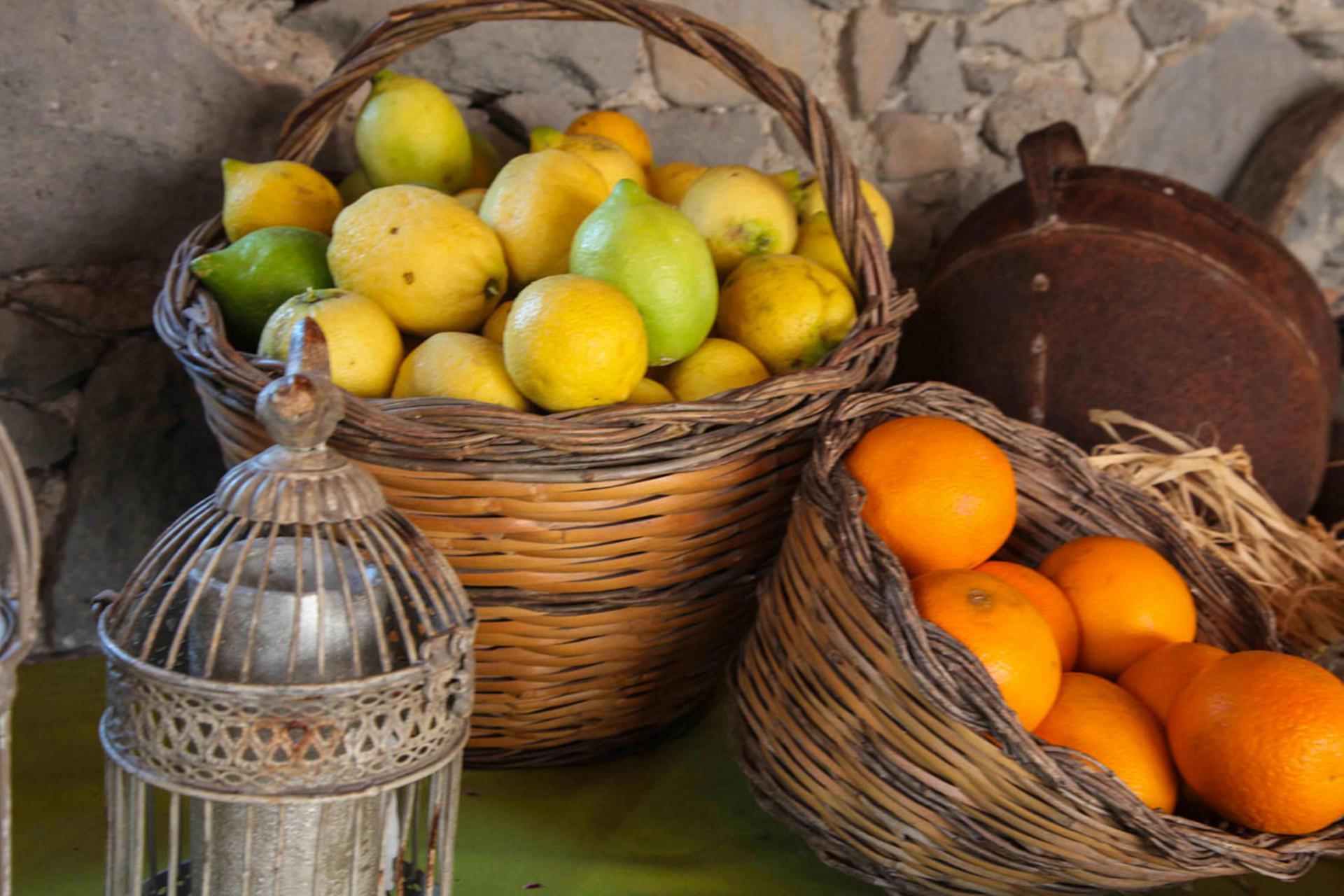 Agriturismo Sicilie Agriturismo in Sicilie omgeven door citrusbomen
