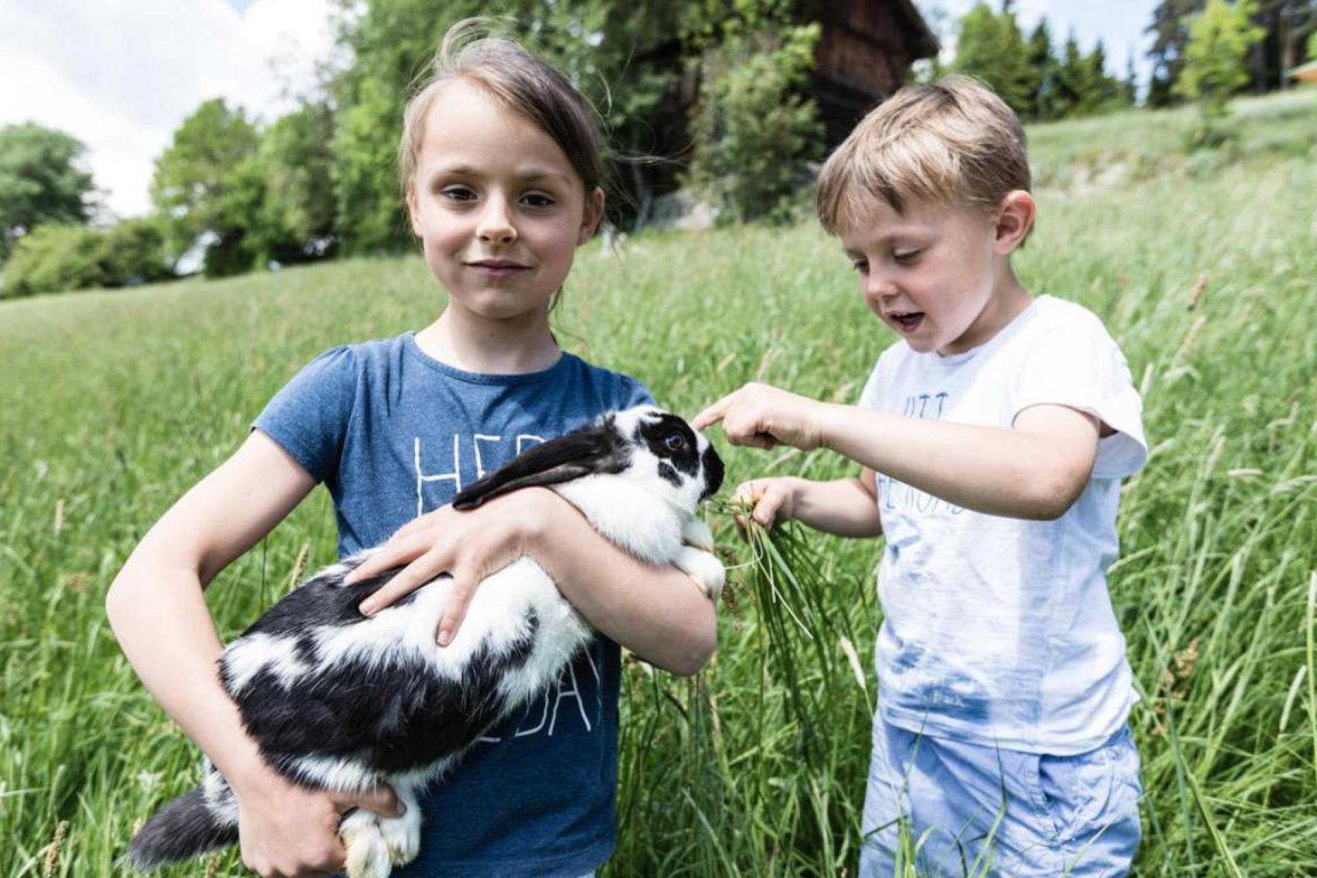 Agriturismo Dolomieten Actieve agriturismo met boerderijdieren in Trentino