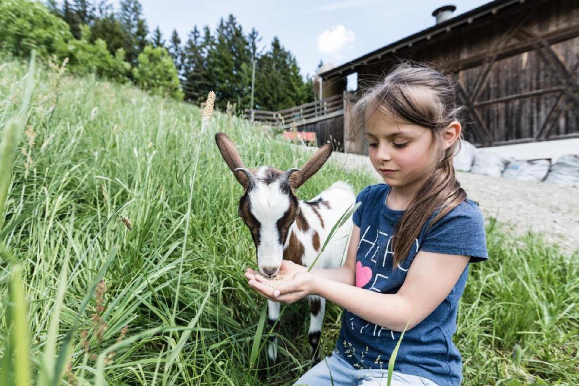 Agriturismo Dolomieten Actieve agriturismo met boerderijdieren in Trentino