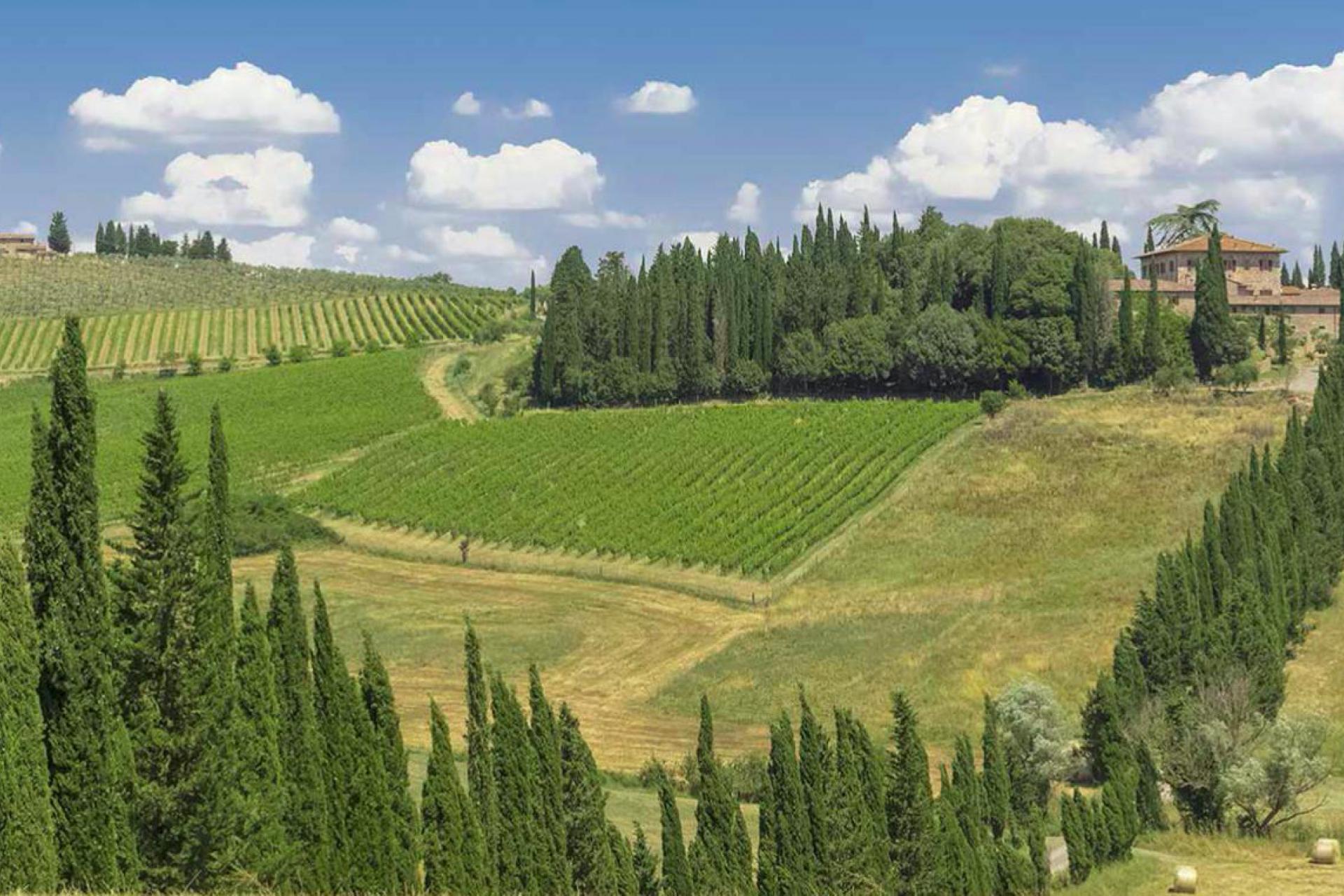 Agriturismo Toscane Comfortabele agriturismo in de ongerepte heuvels van Siena