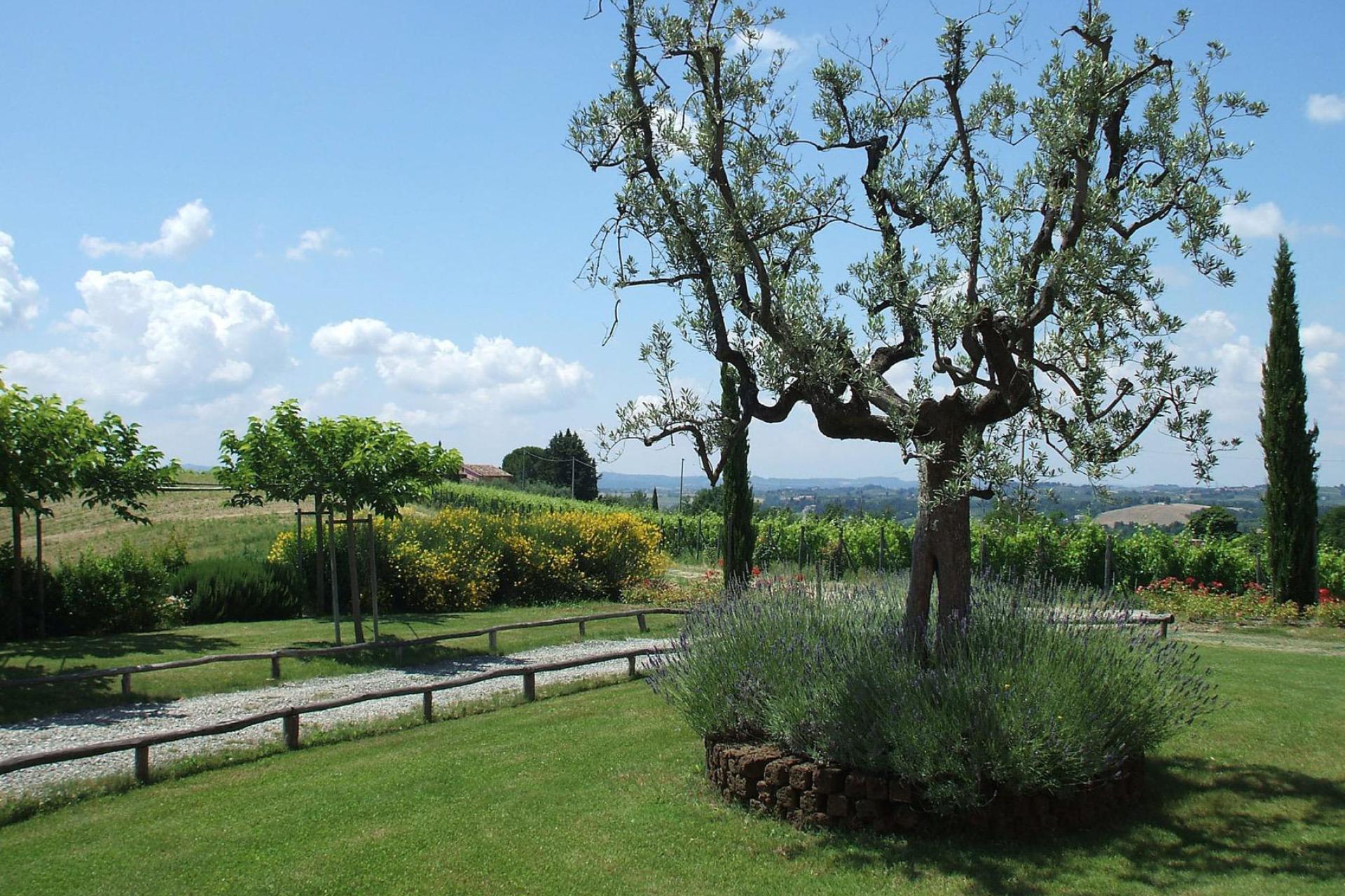 Agriturismo Toscane Wijnboerderij in Chianti-gebied – met fraai uitzicht | myitaly.nl