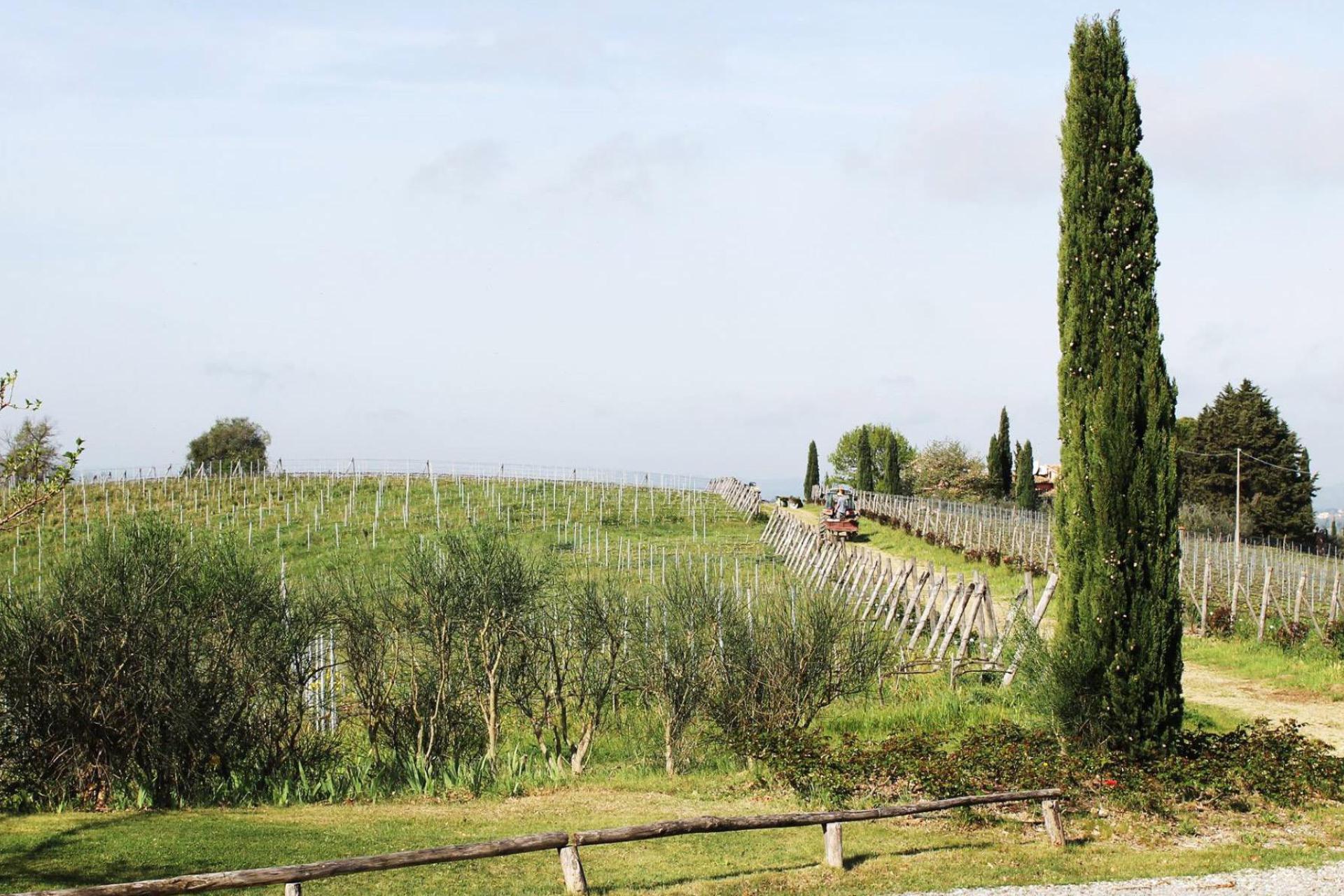 Agriturismo Toscane Wijnboerderij in Chianti-gebied – met fraai uitzicht | myitaly.nl