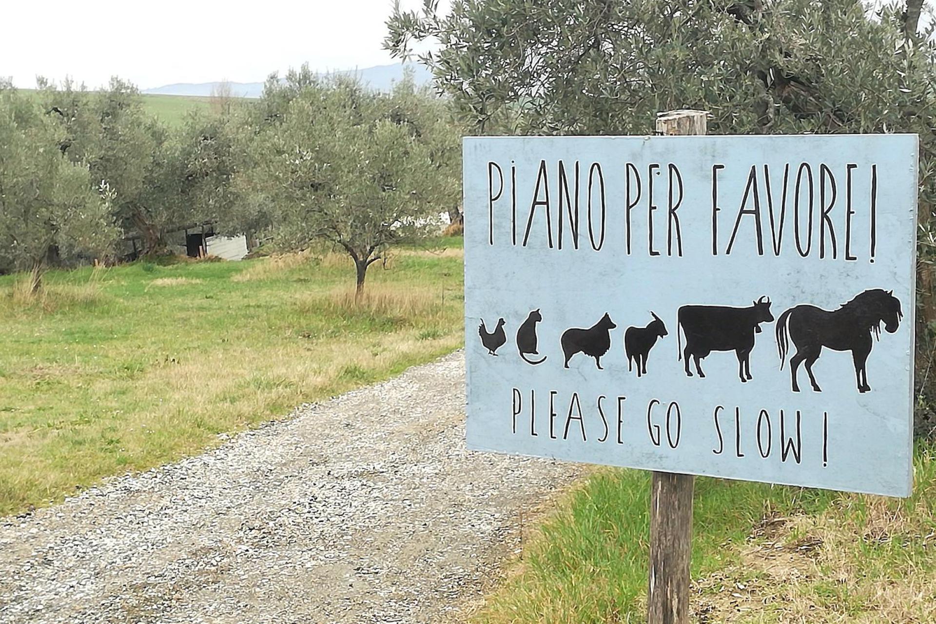 Agriturismo Toscane Kleine vakantie-boerderij in de Toscaanse heuvels