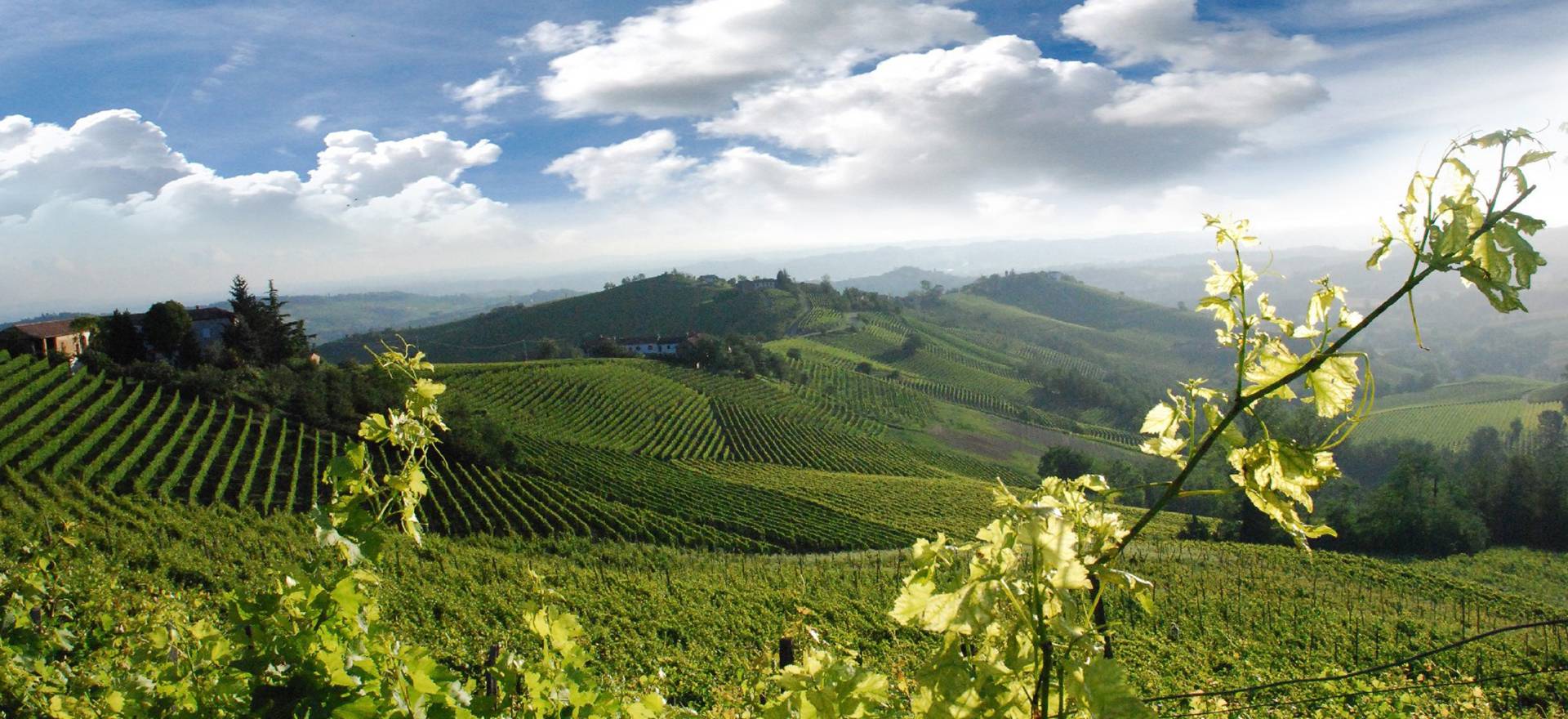 Agriturismo tussen de wijngaarden van Piemonte