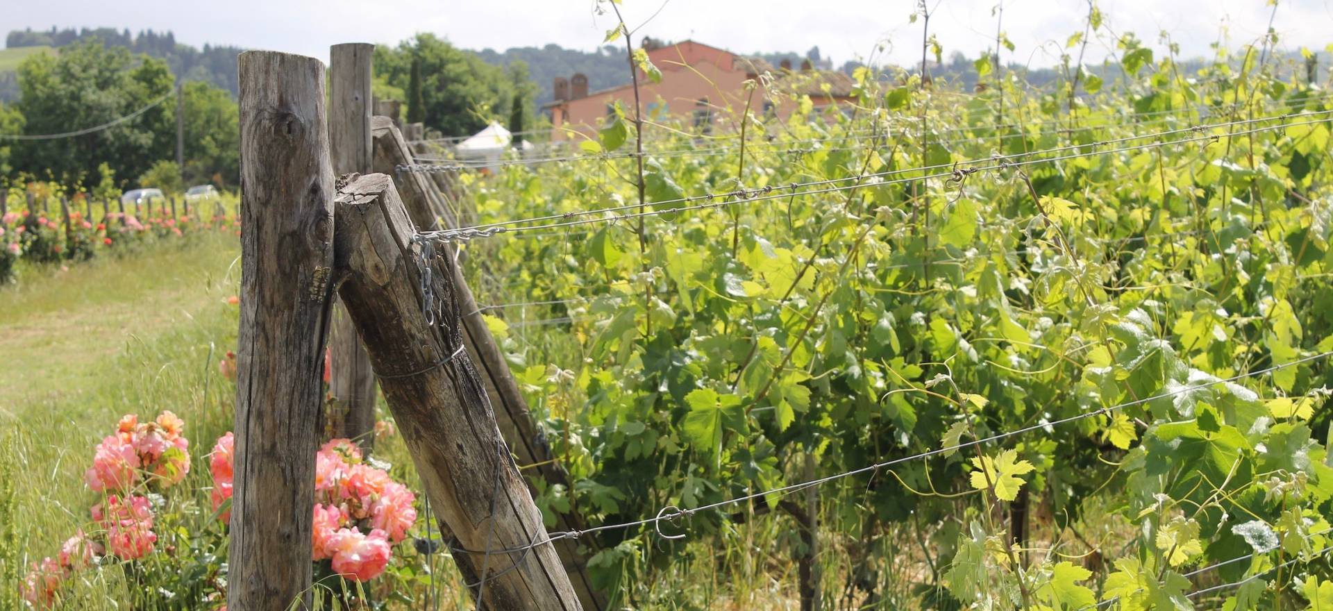 Wijnboerderij op een heuvel in het Chiantigebied