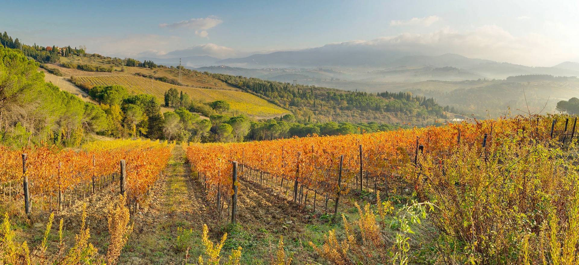 Agriturismo in Toscane tussen de wijngaarden bij Florence