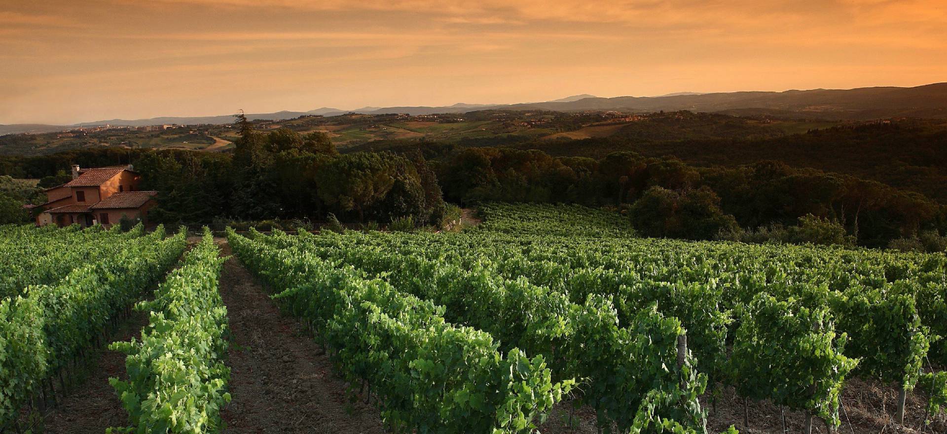 Authentieke wijnboerderij vlakbij Siena, Toscane